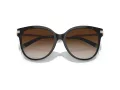Tiffany Gafas de Sol TF 4193B 81343B