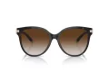 Tiffany Gafas de Sol TF 4193B 81343B