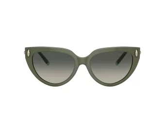Tiffany Gafas de Sol TF 4195 835811
