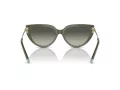 Tiffany Gafas de Sol TF 4195 835811
