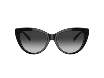 Tiffany Gafas de Sol TF 4196 80013C