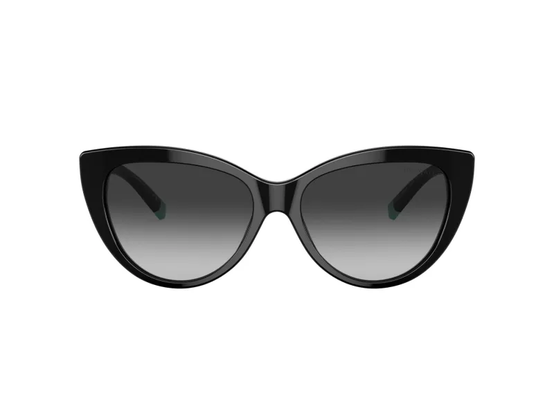 Tiffany Gafas de Sol TF 4196 80013C