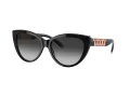 Tiffany Gafas de Sol TF 4196 80013C
