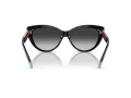 Tiffany Gafas de Sol TF 4196 80013C