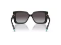 Tiffany Gafas de Sol TF 4199 80013C