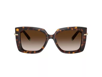Tiffany Gafas de Sol TF 4199 80153B