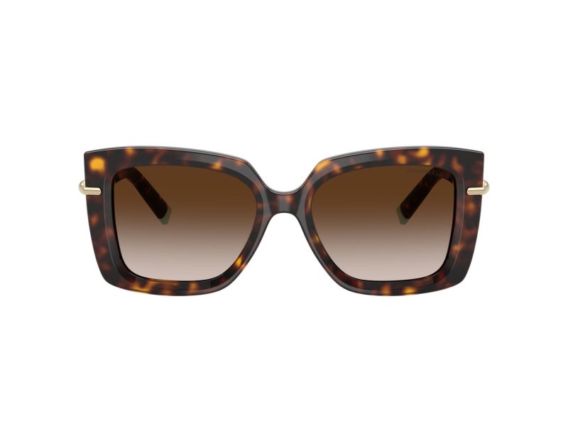 Tiffany Gafas de Sol TF 4199 80153B