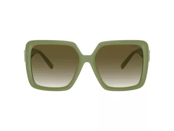 Tiffany Gafas de Sol TF 4206U 83687Z