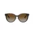Tiffany Gafas de Sol TF 4209D 8015T5