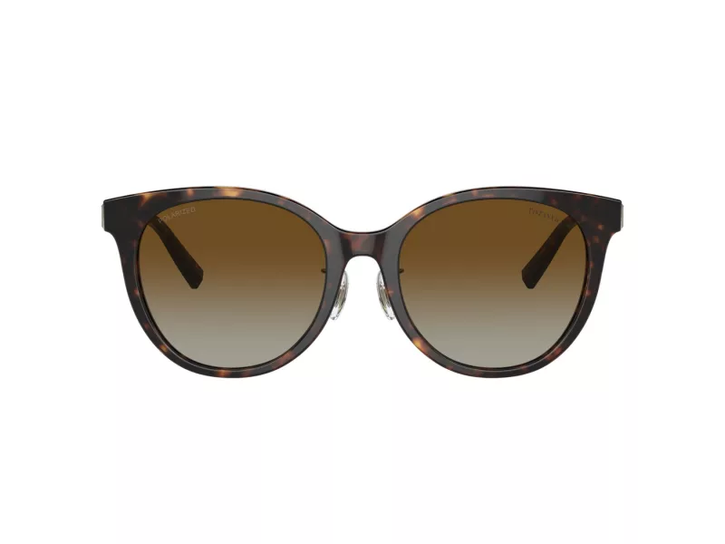 Tiffany Gafas de Sol TF 4209D 8015T5
