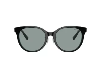 Tiffany Gafas de Sol TF 4209D 8055/1