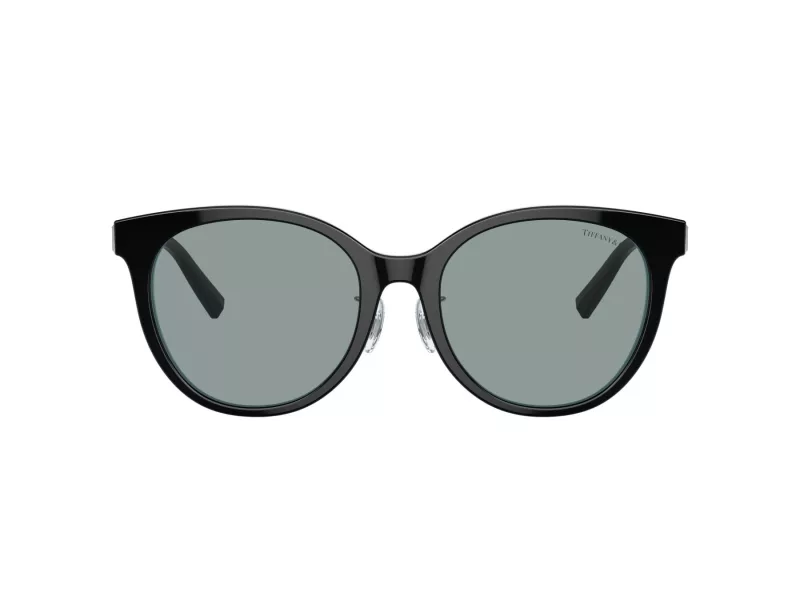 Tiffany Gafas de Sol TF 4209D 8055/1