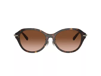 Tiffany Gafas de Sol TF 4210D 80153B