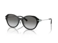 Tiffany Gafas de Sol TF 4210D 82853C