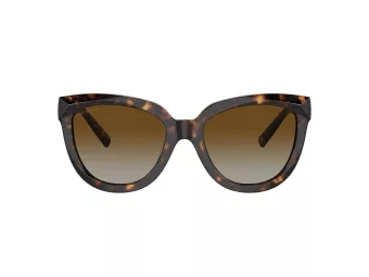 Tiffany Gafas de Sol TF 4215 8015T5