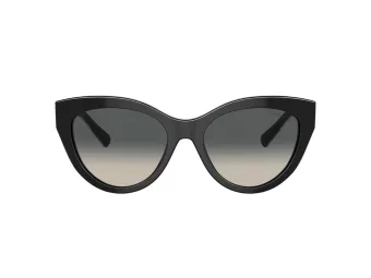 Tiffany Gafas de Sol TF 4220 800171