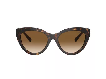 Tiffany Gafas de Sol TF 4220 801551