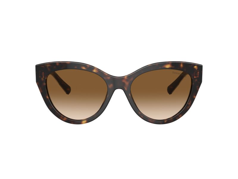 Tiffany Gafas de Sol TF 4220 801551