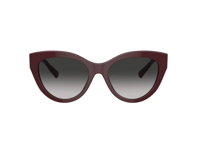 Tiffany Gafas de Sol TF 4220 83893C