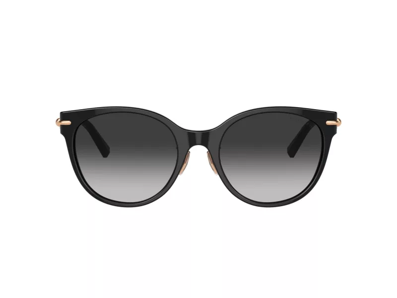 Tiffany Gafas de Sol TF 4223D 80013C