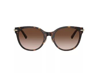 Tiffany Gafas de Sol TF 4223D 80153B