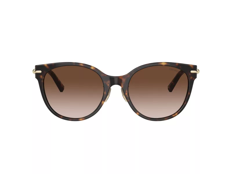 Tiffany Gafas de Sol TF 4223D 80153B