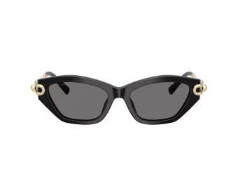 Tiffany Gafas de Sol TF 4231U 800181