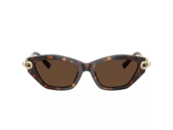 Tiffany Gafas de Sol TF 4231U 80153G