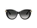 Tiffany Gafas de Sol TF 4232 80013C