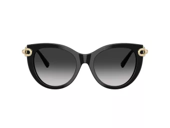 Tiffany Gafas de Sol TF 4232 80013C