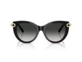 Tiffany Gafas de Sol TF 4232 80013C