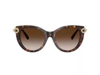 Tiffany Gafas de Sol TF 4232 80153B