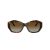 Tiffany Gafas de Sol TF 4233U 8015T5