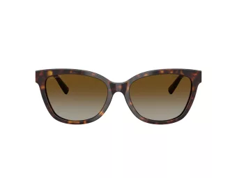 Tiffany Gafas de Sol TF 4237B 8015T5