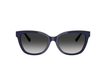 Tiffany Gafas de Sol TF 4237B 83963C