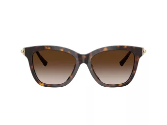Tiffany Gafas de Sol TF 4241D 80153B