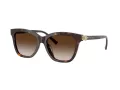 Tiffany Gafas de Sol TF 4241D 80153B