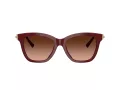 Tiffany Gafas de Sol TF 4241D 84395M