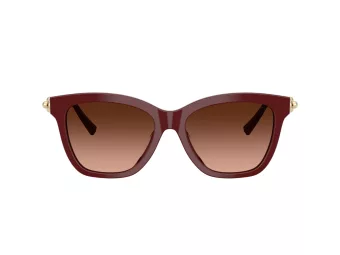 Tiffany Gafas de Sol TF 4241D 84395M
