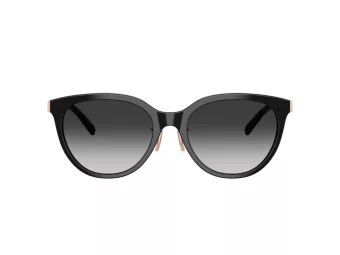 Tiffany Gafas de Sol TF 4243D 80013C
