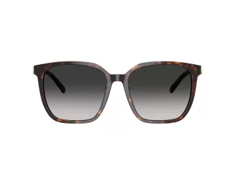 Tiffany Gafas de Sol TF 4244D 80153C