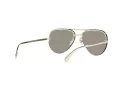 Versace Gafas de Sol VE 2231 1252/6G