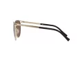 Versace Gafas de Sol VE 2237 1252/73