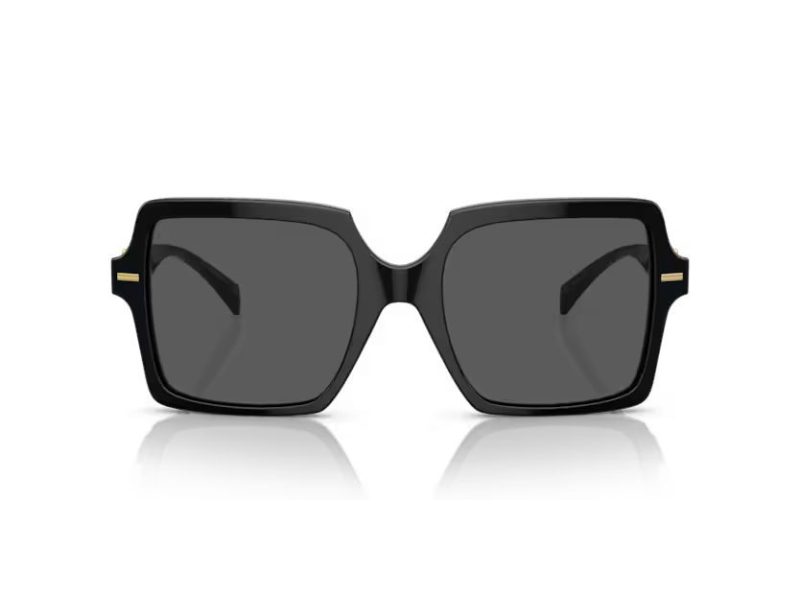 Versace Gafas de Sol VE 4441 GB1/87
