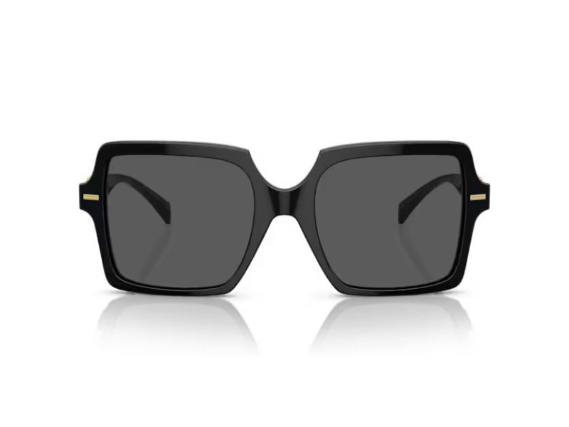 Versace Gafas de Sol VE 0VE4441 GB1/87