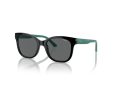 Vogue Gafas de Sol VJ 2023 W44/87