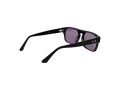 Web Gafas de Sol WE 0359 01A