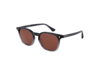 Web Gafas de Sol WE 0364 20S