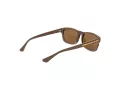 Web Gafas de Sol WE 0371 56J