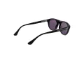 Web Gafas de Sol WE 0377 05A